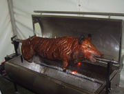 Hog roasting on a spit