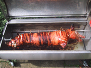 Hog roasting on a spit